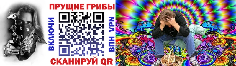 Галлюциногенные грибы GOLDEN TEACHER  купить  цена  Лосино-Петровский 